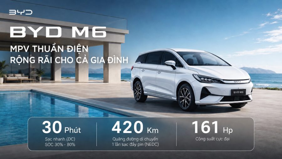 BYD M6